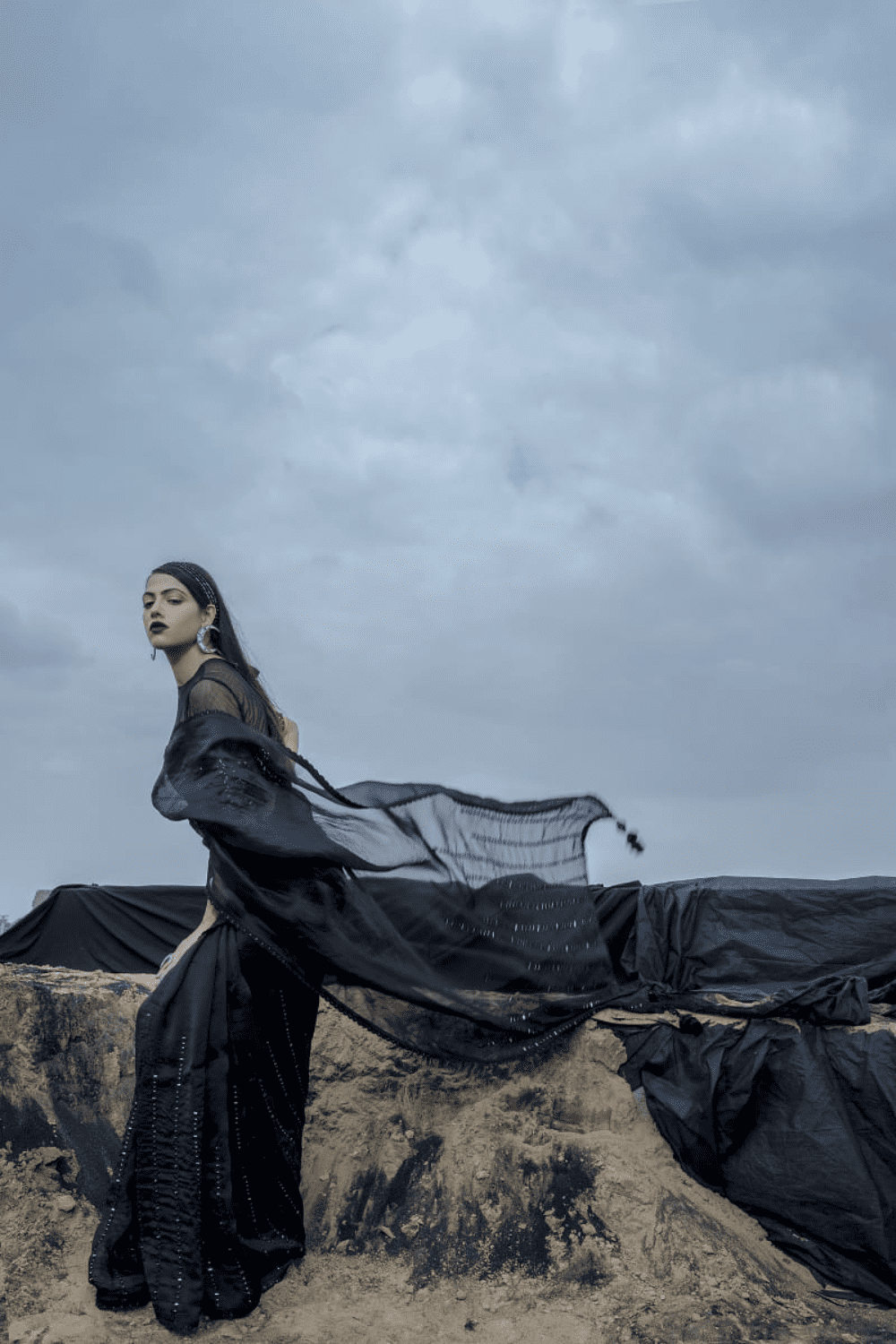 Black Mirror Work Organza Saree