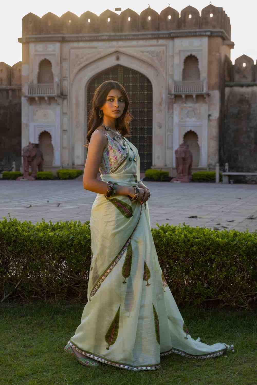 Printed Organza Silk Saree With Resham Blouse