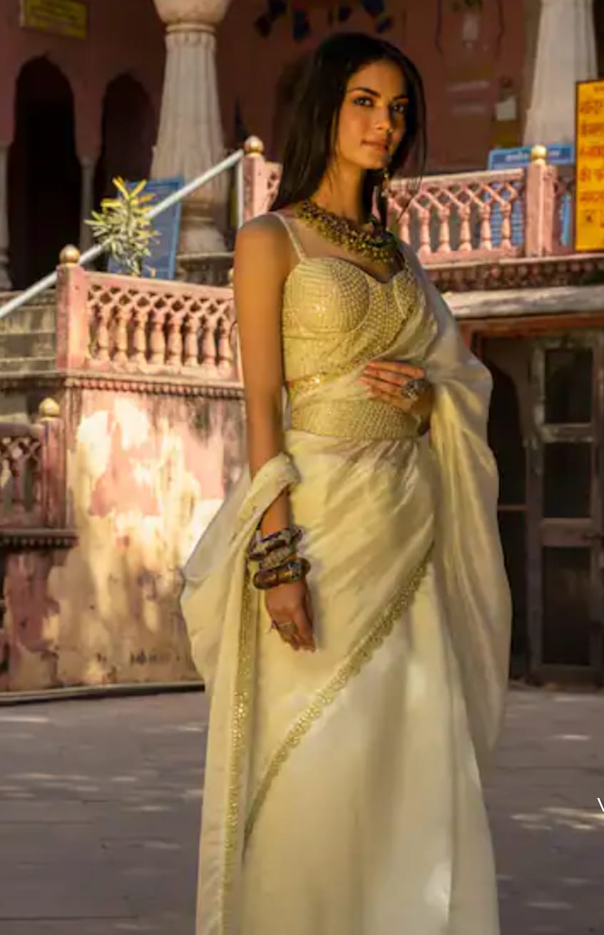 Mint Organza Silk Saree