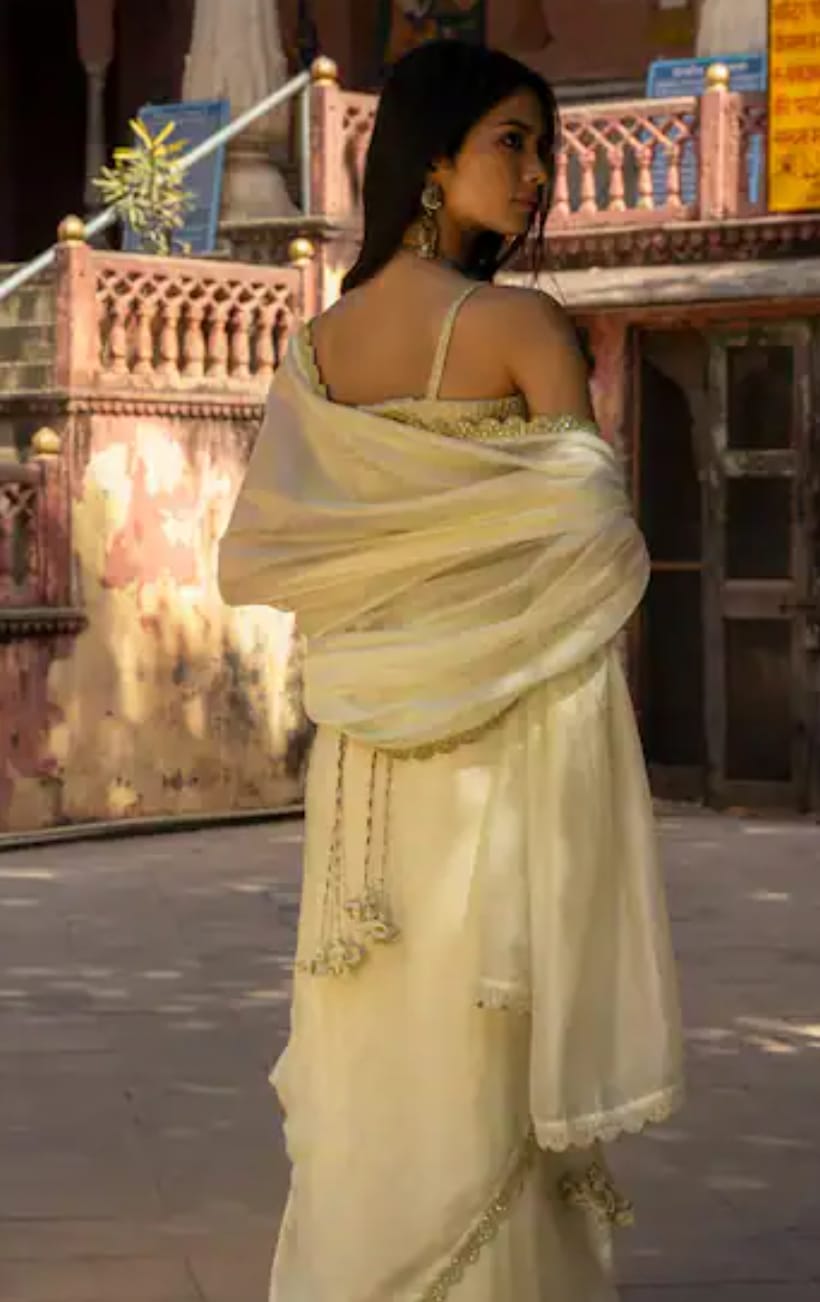Mint Organza Silk Saree
